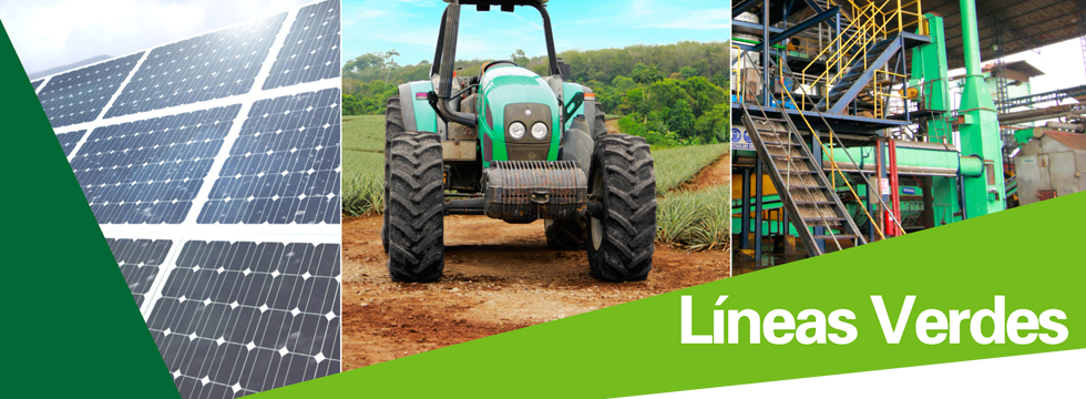 lineaverde980x360