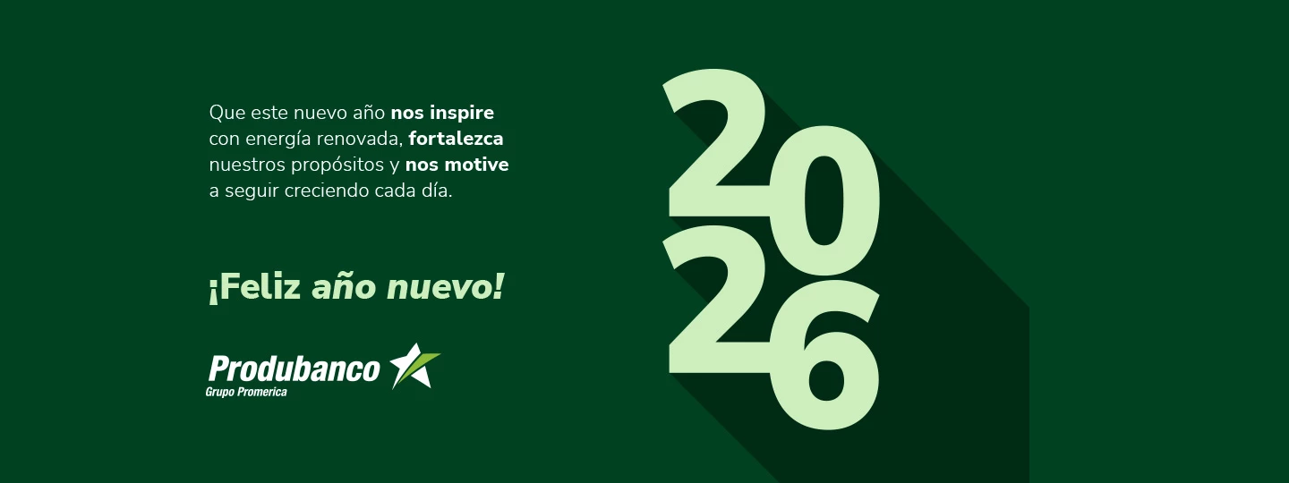 banners-fin-anio-produbanco-ordenador-191225