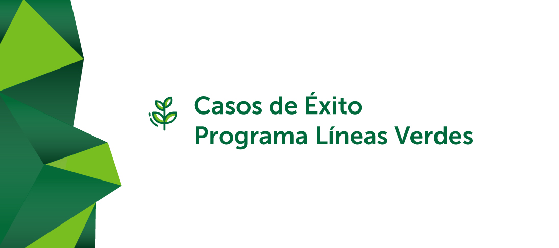 casos de exitos