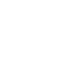 tiktokweb