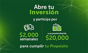 inversiones (1)