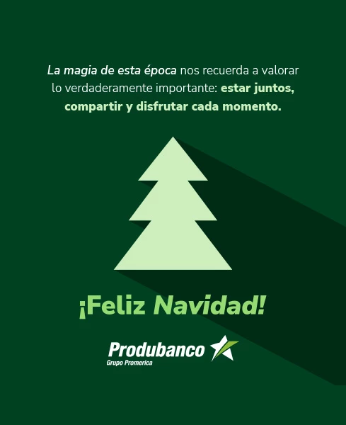 banners-navidad-produbanco-mobil-191225