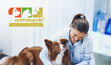 animalopolis produbanco 090326 p