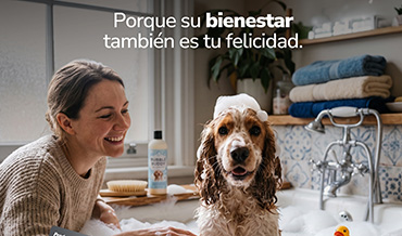 city pet produbanco 100726 p