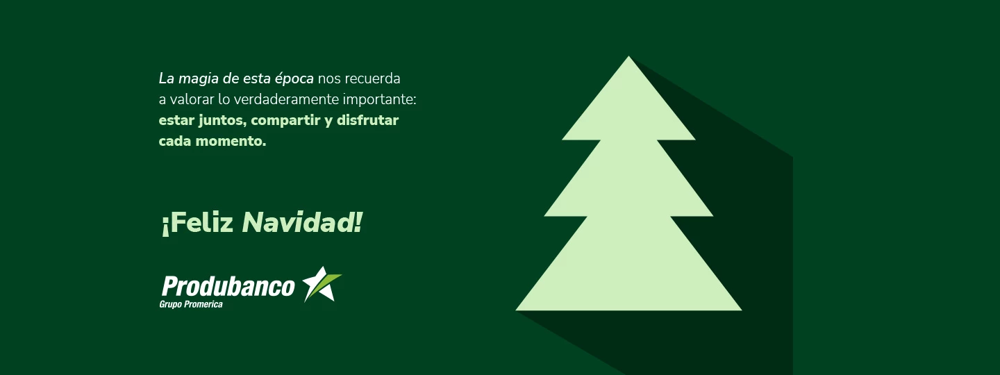 banners-navidad-produbanco-ordenador-191225